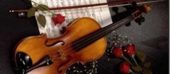 bandas-para-casamentos-e-festas-praia-grande-1452888346