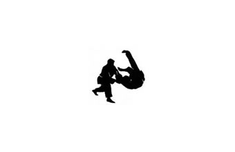 Academia Red Tiger Artes Marciais - Foto 1