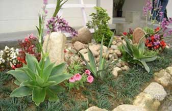 Jardinagem Caramez - Foto 1
