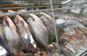 Big Fish Pescados - Foto 1