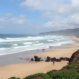 vagas de trabalho Praia Grande