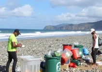 Ecopontos Praia Grande