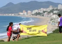 programa Dono do Lote