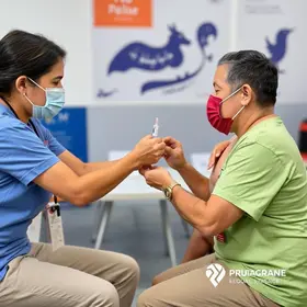 vacinação contra a gripe