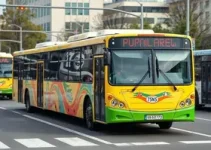 novos ônibus
