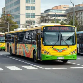 novos ônibus