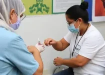 vacinação contra a gripe