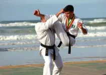 artes marciais de Praia Grande
