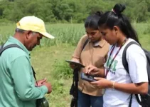 fiscalização ambiental