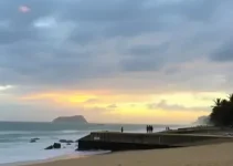Inteligência Tributária