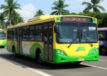 ônibus elétricos