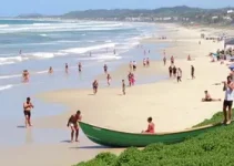 Semana do Meio Ambiente