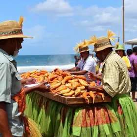 Festa da Tainha