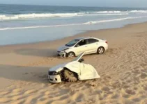 carro capota