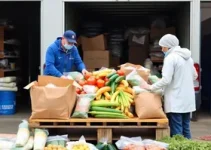 Fundo Social recebe doação de 12 toneladas de alimentos