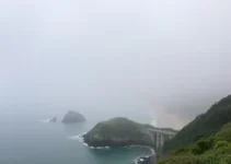 nevoeiro