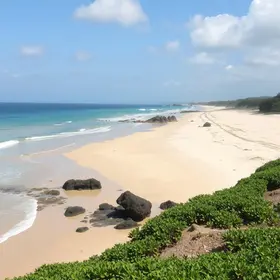 Praia Grande + Sustentável