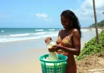 coleta de leite humano
