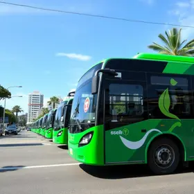 ônibus elétricos