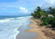 programa sobre impactos das mudanças climáticas na Saúde