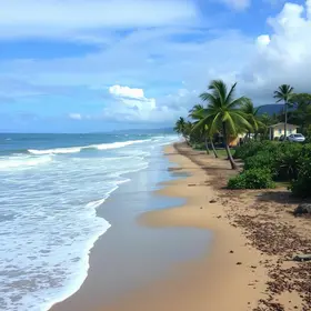 programa sobre impactos das mudanças climáticas na Saúde