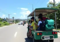 Educação Viária