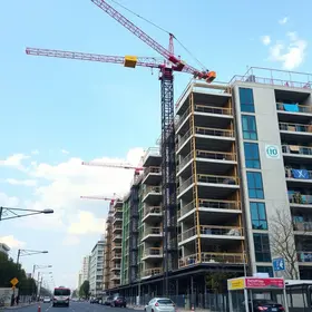 obras do pronto-atendimento pet