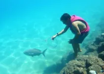 cultura oceânica
