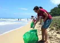 Dia Mundial da Limpeza