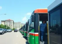 transporte gratuito no dia das eleições