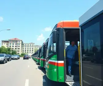 transporte gratuito no dia das eleições