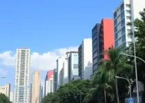resultado da apuração da votação para presidente
