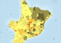 Mapeamento da População Negra